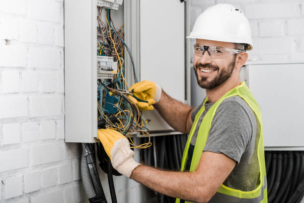 Best Electric Panel Repair  in Mount Vernon, TX